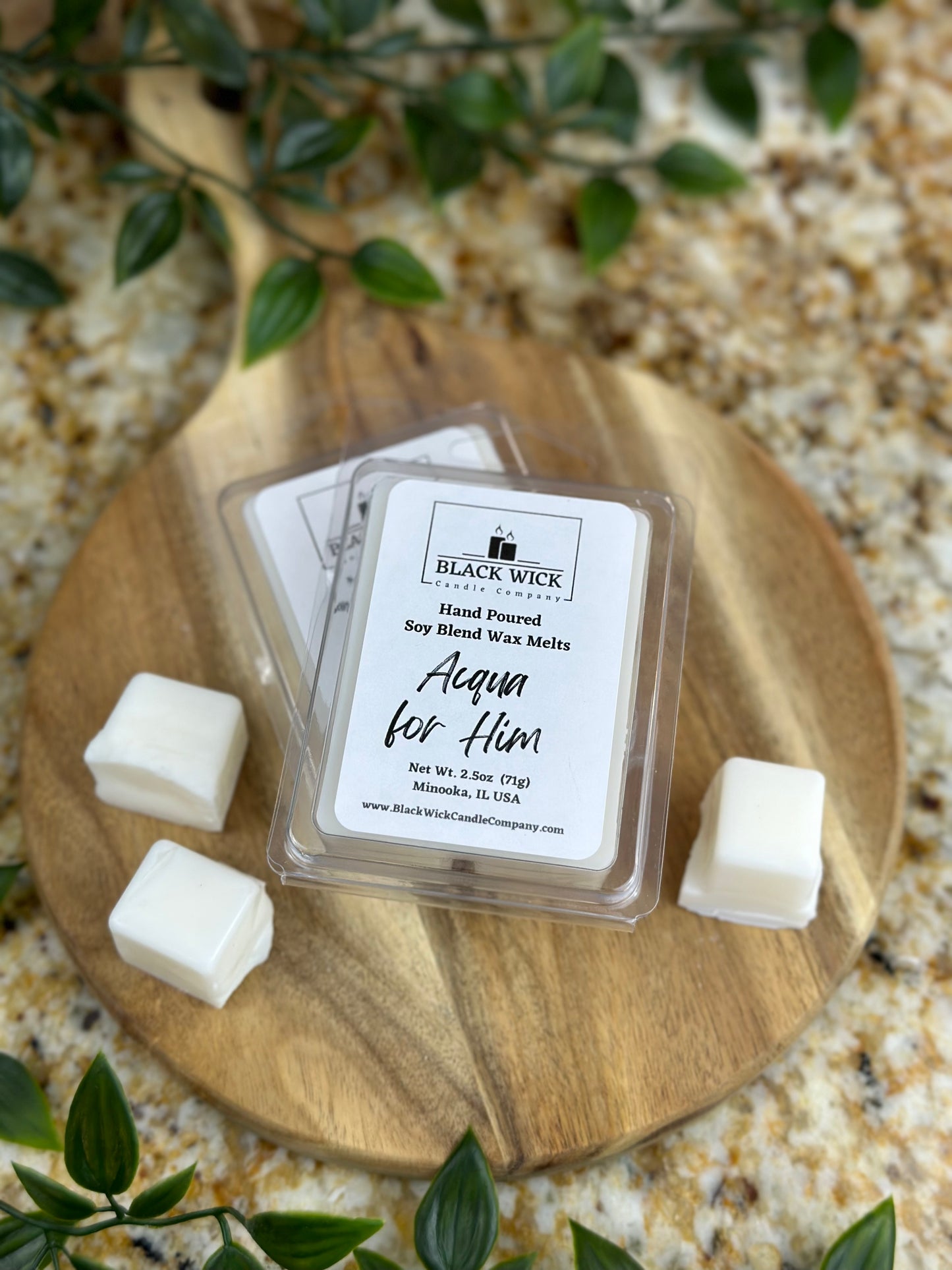 Acqua For Him | 2.5oz Wax Melt Clamshell