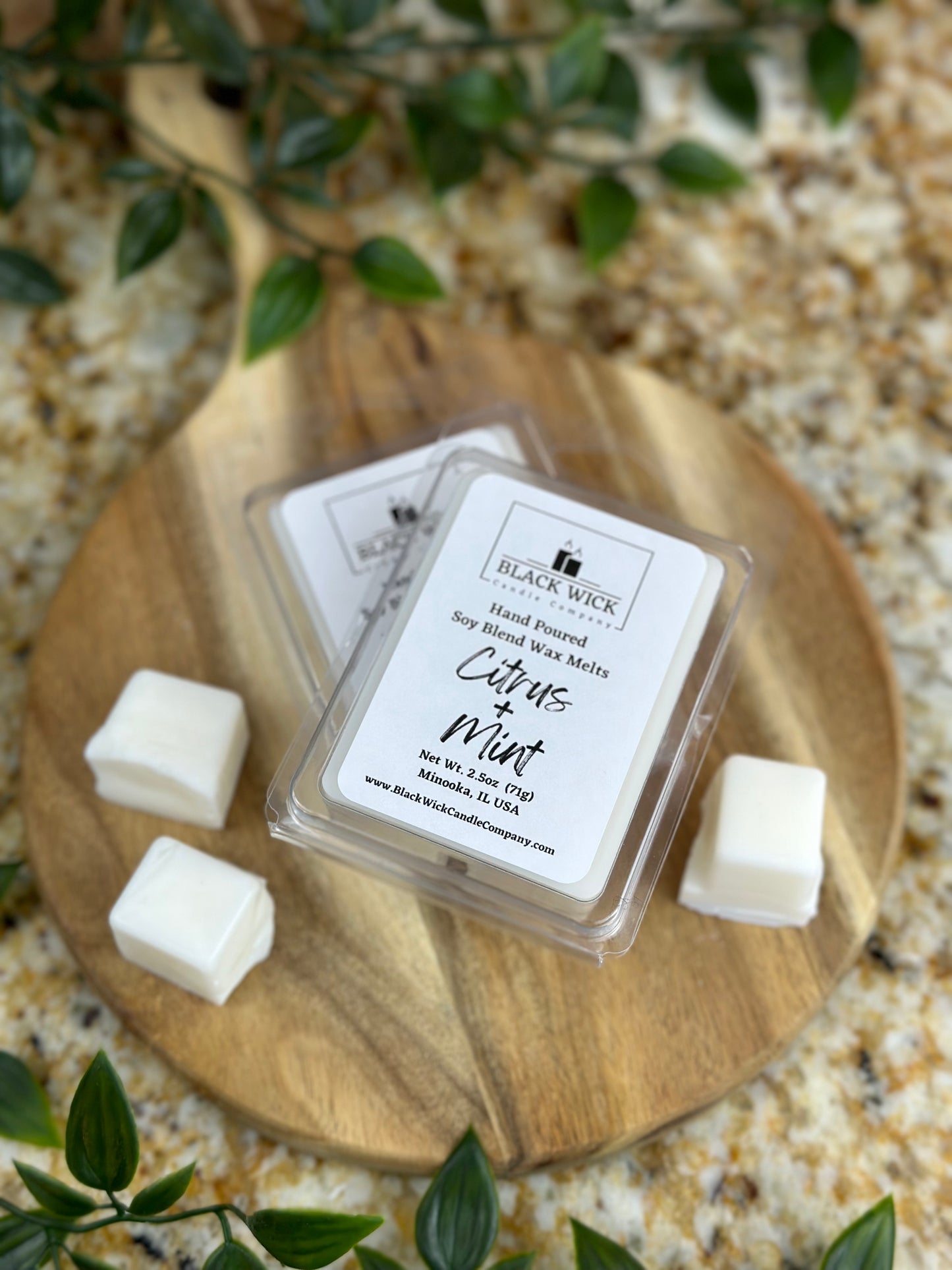 Citrus + Mint | 2.5oz Wax Melt Clamshell