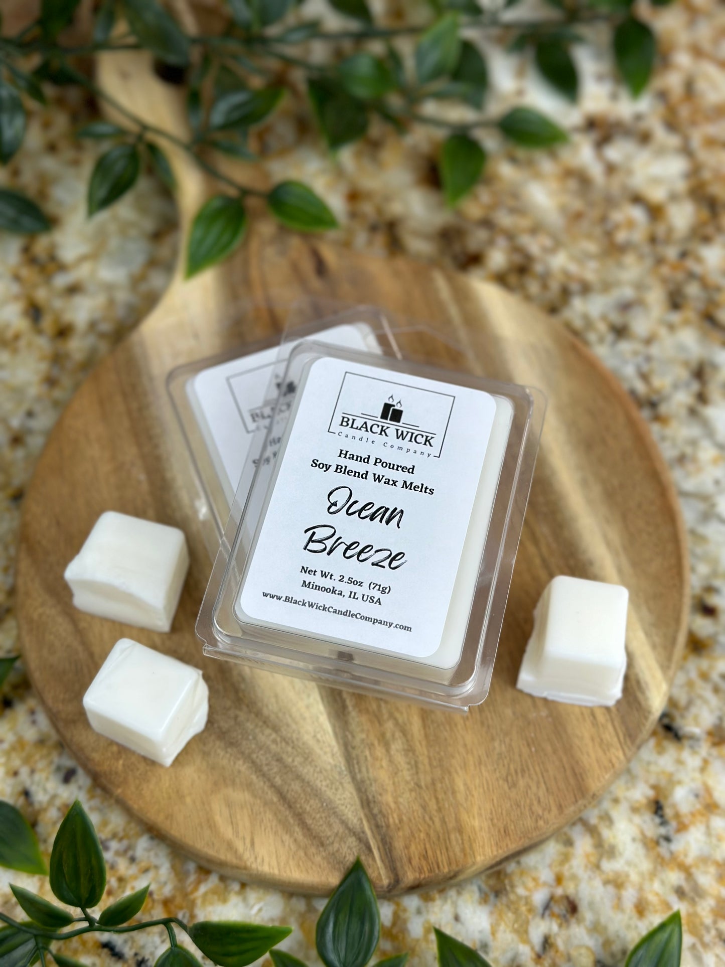 Ocean Breeze | 2.5oz Wax Melt Clamshell